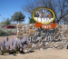Fort Huachuca Thumb
