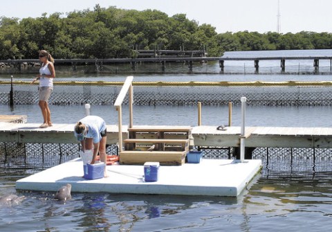 Marine Safety Lab