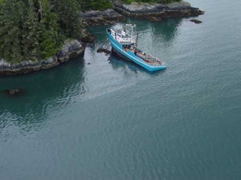 Valdez