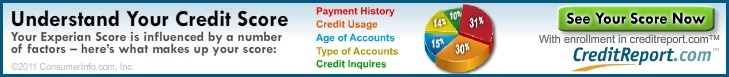credit report